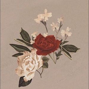 Meet your Posher, Mackenzie